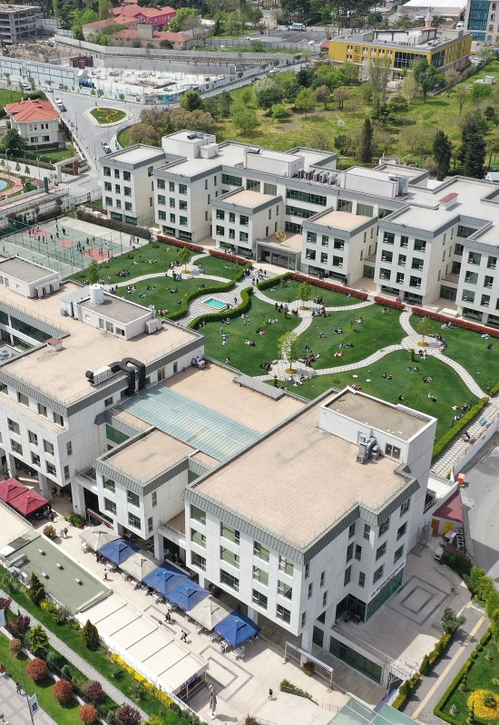 Biruni Üniversitesi