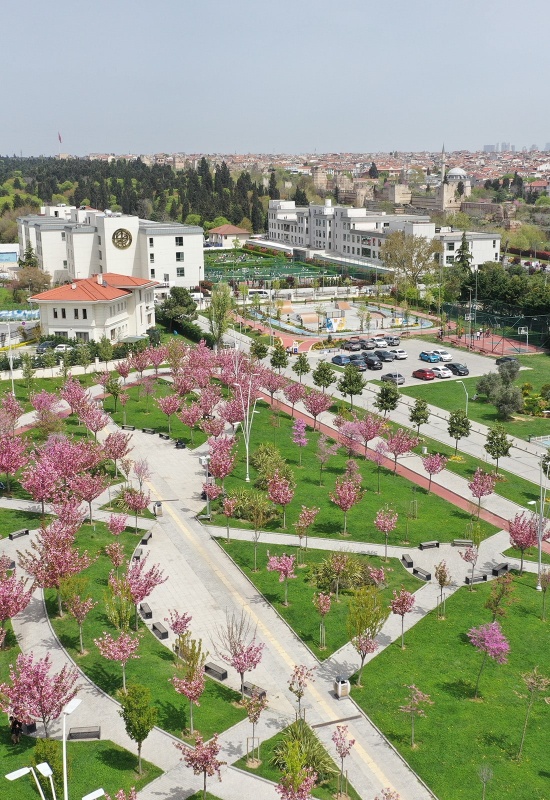 Biruni Üniversitesi